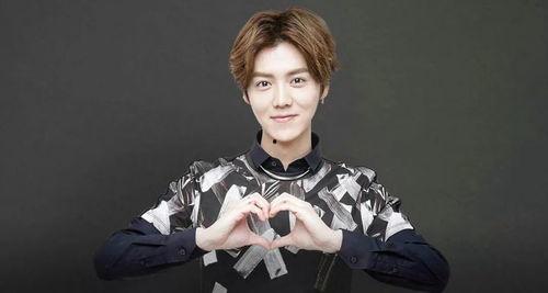 娱乐圈爆料鹿晗身份信息,鹿晗身份信息大曝光！